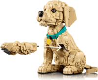 LEGO 11384 Icons - Golden Retriever kutyus