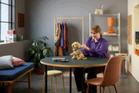 LEGO 11384 Icons - Golden Retriever kutyus