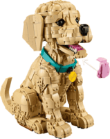 LEGO 11384 Icons - Golden Retriever kutyus