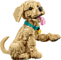LEGO 11384 Icons - Golden Retriever kutyus