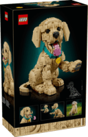 LEGO 11384 Icons - Golden Retriever kutyus