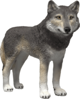 Schleich 14991 Wild Life Amerikai farkas játékfigura