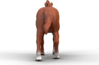 Schleich 14915 Horse Club Angol Telivér Játékfigura