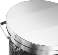 Hailo ProfiLine MSS design XXXL 120 literes acél szemetes - Inox