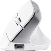 Trust 25399 Bayo+ Többeszközös Bluetooth + RF Wireless Egér Vertikális Egér - Fehér