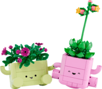 LEGO 11506 Botanicals - Hintázó növények