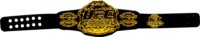 P.M.I. UFC Octagon Fighters S1 Legendary fights figurák - Topuria VS. Holloway