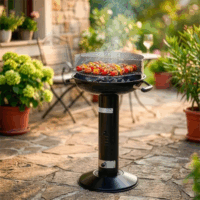 Fieldmann FZG 1023 Faszenes Kerti grillsütő - Fekete
