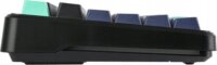 AULA F87 Pro GrayWood V4 RGB Gasket Tri-Mode Mechanikus Wireless Gaming Billentyűzet US - Fekete/Ciánkék