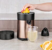 Berlinger Haus BH/9588 Elektromos citrusfacsaró 0,3L - Rózsaarany