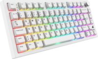 Sharkoon SKILLER SGK55W Linear Wireless / Vezetékes Mechanikus Gaming Billentyűzet DE - Fehér