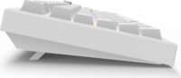 Sharkoon SKILLER SGK55W Linear Wireless / Vezetékes Mechanikus Gaming Billentyűzet DE - Fehér