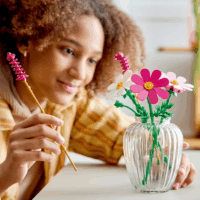LEGO 11514 Botanicals - Pillangóvirágok