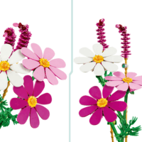 LEGO 11514 Botanicals - Pillangóvirágok