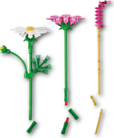 LEGO 11514 Botanicals - Pillangóvirágok