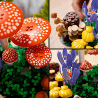 LEGO 11505 Botanicals - Erdei Gombák