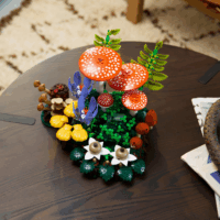 LEGO 11505 Botanicals - Erdei Gombák