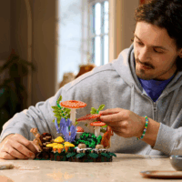 LEGO 11505 Botanicals - Erdei Gombák