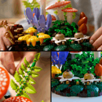 LEGO 11505 Botanicals - Erdei Gombák