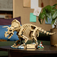 LEGO® 77985 Jurassic World - Dinoszaurusz maradványok: Triceratops