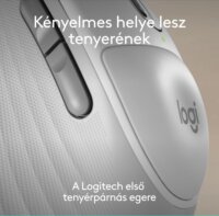 Logitech M850 Signature L Wireless Optikai Egér - Piszkosfehér