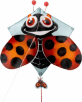 Eolo Toys Mini pop-up szélsárkány - Katica