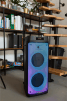 Blaupunkt PB08DB Hordozható Bluetooth Party Hangszóró Mikrofonnal 700W - Fekete
