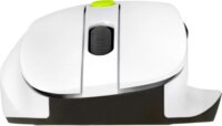 Asus MD105 Bluetooth + RF Wireless Egér - Fehér/Zöld