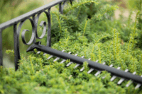 Bosch Universal HedgeCut 18V-55 Akkus Sövényvágó