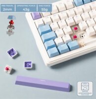 The G-Lab Keyz Elite 400 WB Tri-Mode Wireless Mechanikus Gamer RGB Billentyűzet US - Fehér/Kék/Lila