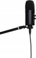 Stagg SUSM60D USB Stúdió Kondenzátor Mikrofon - Fekete