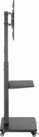 Gembird TVS-75S-02 37"-75" TV Padlóállvány Görgőkkel - Fekete