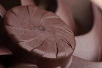 Noctua NF-A12x25 G2 LS-PWM 120mm PWM Rendszerhűtő ventilátor - Barna