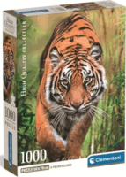 Clementoni HQC Támadó tigris 1000 darabos puzzle