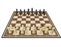 Merchant Ambassador Kasparov Sakk Készlet