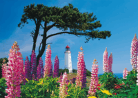 Schmidt Spiele 58067 Világítótorony 1000 Darabos Puzzle