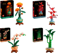 LEGO Botanicals - A Négy Évszak Építőkészlet Csomag