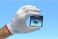 Kinetronics ASG-L Antisztatikus Kesztyű - Szürke