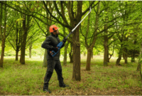 Bosch Professional GGP18V-45EP Teleszkópos Akkus Ágvágó 18V