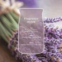 Yankee Candle Szárított Levendula És Tölgy Illatgyertya 368g - Lila