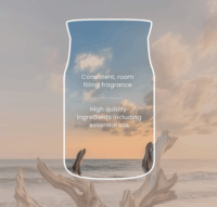 Yankee Candle Seaside Woods Illatgyertya 110g - Barna