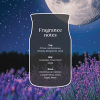 Yankee Candle Midsummer Night Illatgyertya 110g - Fekete