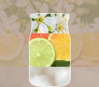 Yankee Candle Tengerparti Erdők Illatgyertya 567g - Barna