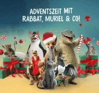 Kosmos A Varázslatos Állatok Iskolája Adventi Kalendárium Kísérletező Készlet