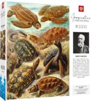 Cenega Publishing Ernst Haeckel Tengeri Teknősök 1000 Darabos Puzzle