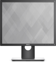 Dell 19" P1917S monitor
