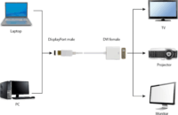 Gembird DisplayPort apa - DVI anya adapter - Fekete