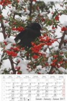 CSG Fali naptár - Négy évszak 2026