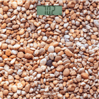 Sencor SBS 2302SN Személymérleg Mintás