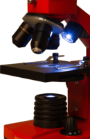 Levenhuk Rainbow 2L PLUS Biológiai mikroszkóp iskolai és egyetemi hallgatóknak - Orange (Narancs)